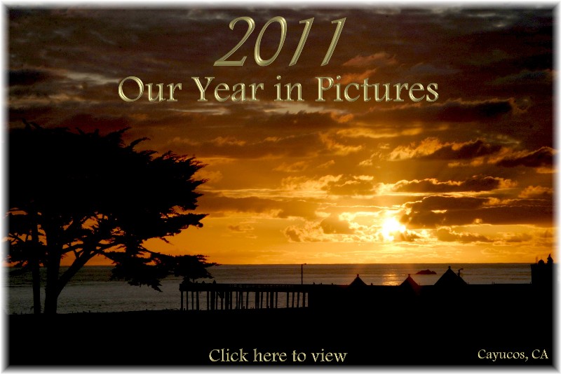 2011 - Our Year in Pictures