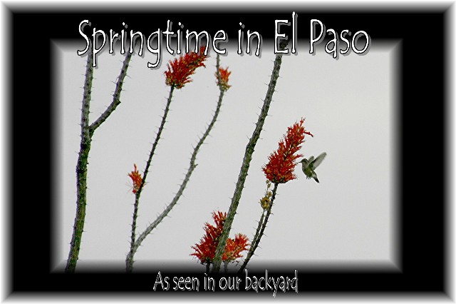 Springtime in El Paso