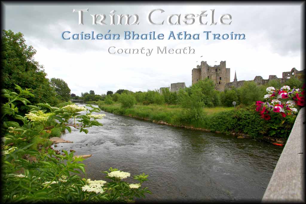 Trim Castle