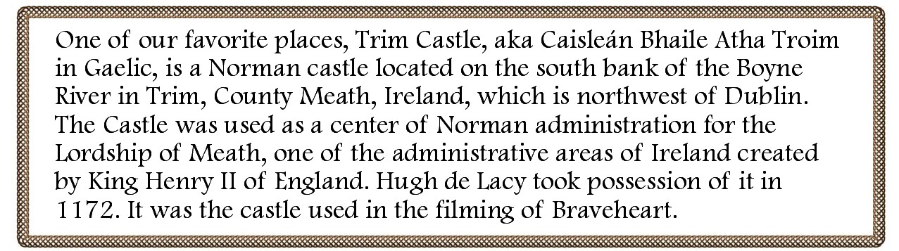 About Trim Castle